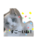ロトくんのスタンプ②（個別スタンプ：3）