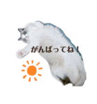 ロトくんのスタンプ②（個別スタンプ：7）