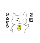 お金好きの猫のこばんちゃん（個別スタンプ：20）