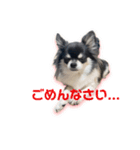 ももちゃんスタンプ Vol3（個別スタンプ：1）