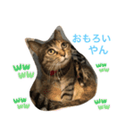 あんずちゃん其の0（個別スタンプ：6）