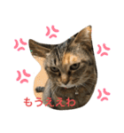 あんずちゃん其の0（個別スタンプ：14）
