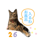 あんずちゃん其の0（個別スタンプ：25）