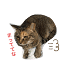 あんずちゃん其の0（個別スタンプ：29）