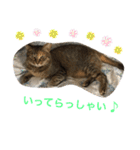 あんずちゃん其の0（個別スタンプ：30）