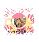 わんことねずみの日常会話（個別スタンプ：4）