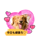 わんことねずみの日常会話（個別スタンプ：6）