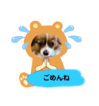 わんことねずみの日常会話（個別スタンプ：7）
