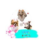 わんことねずみの日常会話（個別スタンプ：8）