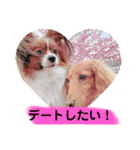 わんことねずみの日常会話（個別スタンプ：9）