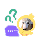 わんことねずみの日常会話（個別スタンプ：10）