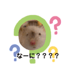 わんことねずみの日常会話（個別スタンプ：14）