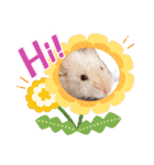 わんことねずみの日常会話（個別スタンプ：16）