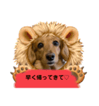 わんことねずみの日常会話（個別スタンプ：17）