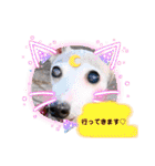 わんことねずみの日常会話（個別スタンプ：22）