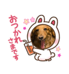 わんことねずみの日常会話（個別スタンプ：24）