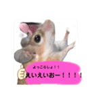 わんことねずみの日常会話（個別スタンプ：30）