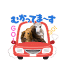わんことねずみの日常会話（個別スタンプ：34）
