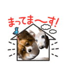 わんことねずみの日常会話（個別スタンプ：35）