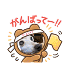 わんことねずみの日常会話（個別スタンプ：36）