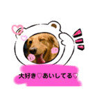 わんことねずみの日常会話（個別スタンプ：37）