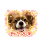 わんことねずみの日常会話（個別スタンプ：39）