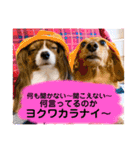 わんことねずみの日常会話（個別スタンプ：40）