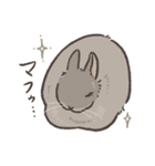 様々なrabbits…スタンプ（個別スタンプ：2）