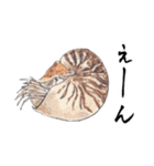 愛らしく真面目な深海魚さんたち 関西弁（個別スタンプ：12）
