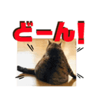 きしことむつ。時々ゆきこ。（個別スタンプ：1）