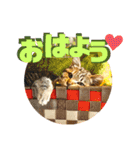 きしことむつ。時々ゆきこ。（個別スタンプ：2）