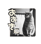 きしことむつ。時々ゆきこ。（個別スタンプ：4）