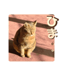 きしことむつ。時々ゆきこ。（個別スタンプ：9）