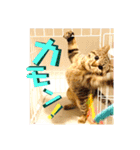 きしことむつ。時々ゆきこ。（個別スタンプ：10）