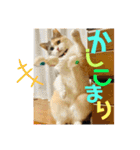 きしことむつ。時々ゆきこ。（個別スタンプ：12）