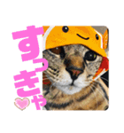 きしことむつ。時々ゆきこ。（個別スタンプ：16）