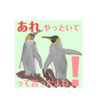 神在月のペンギンスタンプ7（個別スタンプ：1）