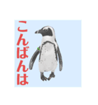 神在月のペンギンスタンプ7（個別スタンプ：7）