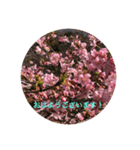kinko Spring（個別スタンプ：1）