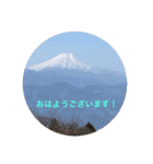 kinko Spring（個別スタンプ：2）