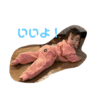 りんちゃんまるすたんpu（個別スタンプ：22）