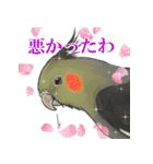 鳥飼妄想オカメーズ1（個別スタンプ：10）