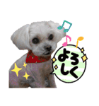りり と にゃごちびまめたろうスタンプ（個別スタンプ：3）