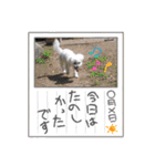 りり と にゃごちびまめたろうスタンプ（個別スタンプ：14）