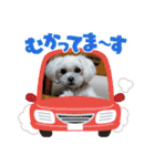 りり と にゃごちびまめたろうスタンプ（個別スタンプ：25）