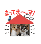 りり と にゃごちびまめたろうスタンプ（個別スタンプ：26）