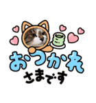 りり と にゃごちびまめたろうスタンプ（個別スタンプ：36）