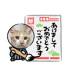 りり と にゃごちびまめたろうスタンプ（個別スタンプ：38）