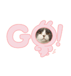 猫ちゃんの使って楽しいstamp 123（個別スタンプ：5）