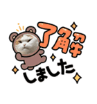 猫ちゃんの使って楽しいstamp 123（個別スタンプ：6）